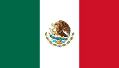 Spanish (Español)