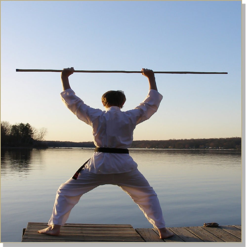 Martial Arts (InnerTalk subliminal self help CD and MP3)