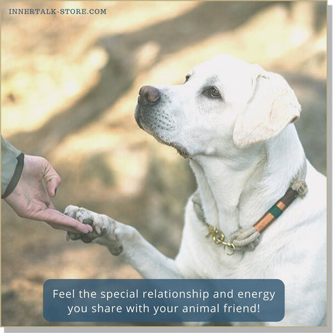 Connecting with Your Animal Friend - InnerTalk subliminal self help / personal empowerment CD / MP3. The best method for positive subliminal affirmations; patented proven and guaranteed
