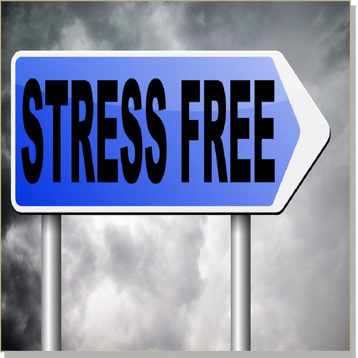 Stress Free Living - Echo-Tech (hypnosis, audible and subliminal) + InnerTalk subliminal self help motivational affirmations CDs and MP3s - Patented! Proven! Guaranteed! - The Best