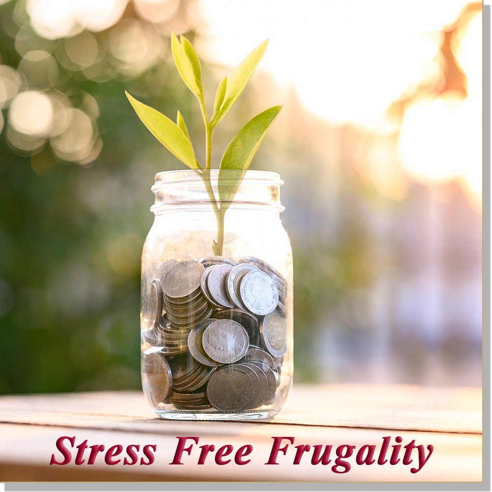 Stress Free Frugality (InnerTalk subliminal self empowerment affirmations CD and MP3)